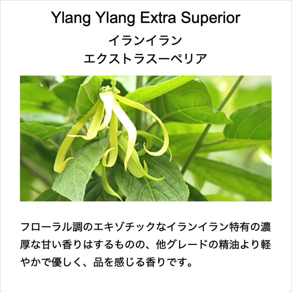 フレグランスミスト 50ml
