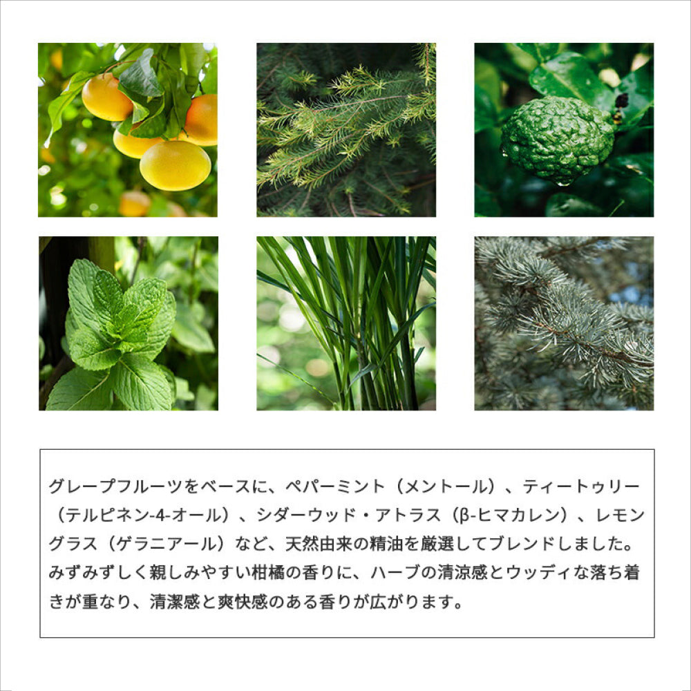 靴の消臭スプレー 150ml / 50ml